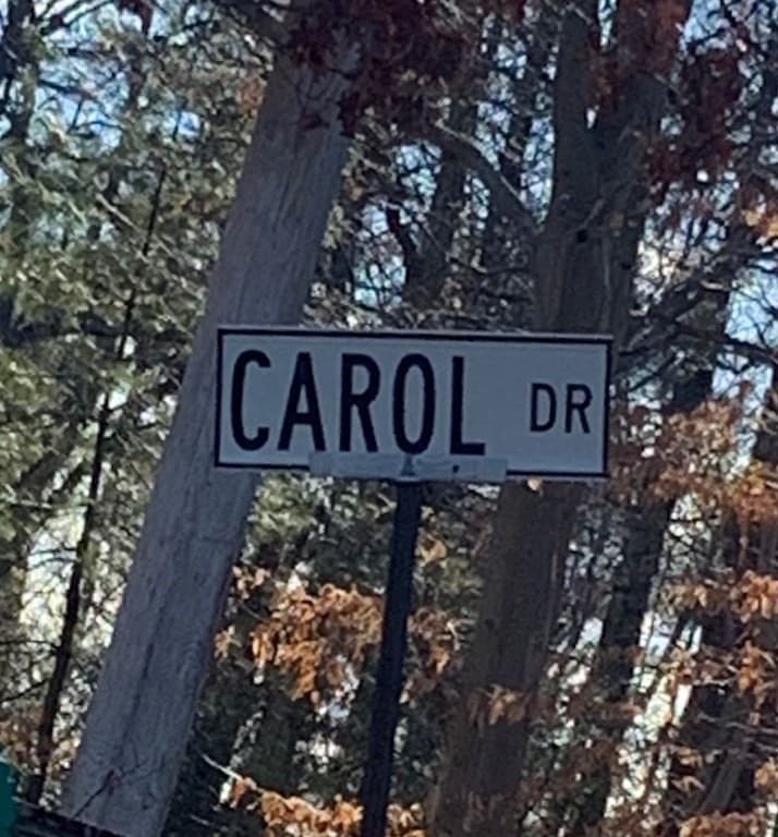 43-4A Carol Dr
