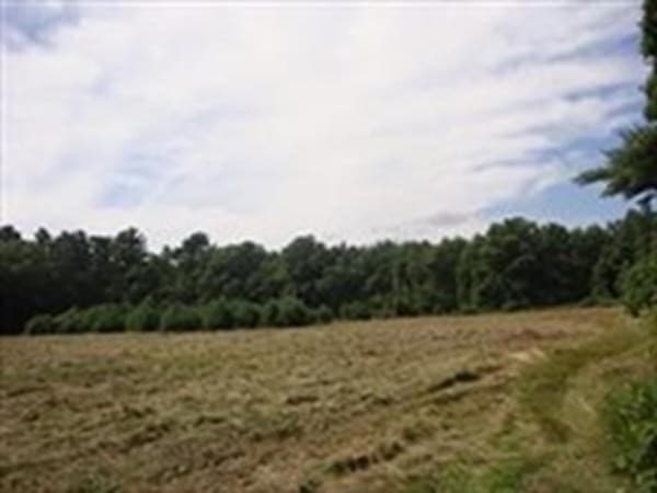 425 Wareham Street photo 2