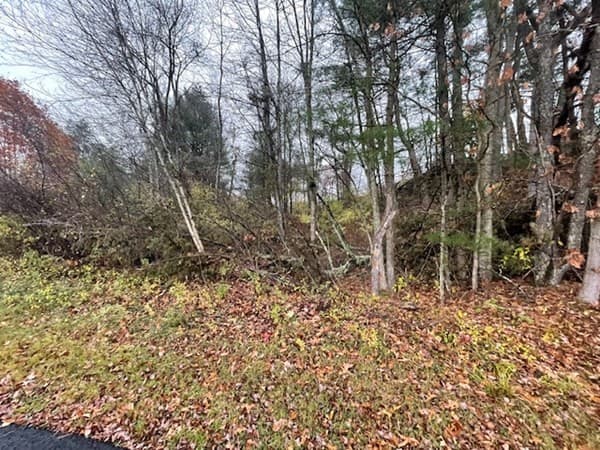 176 Station Road photo 5