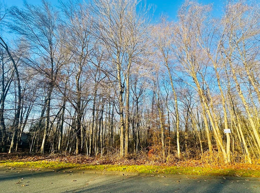 Lot 11 Ridgeview Ter. photo 2