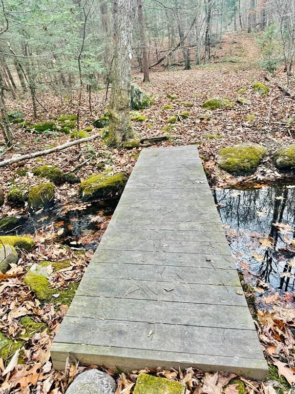 Lot 11 Ridgeview Ter. photo 4