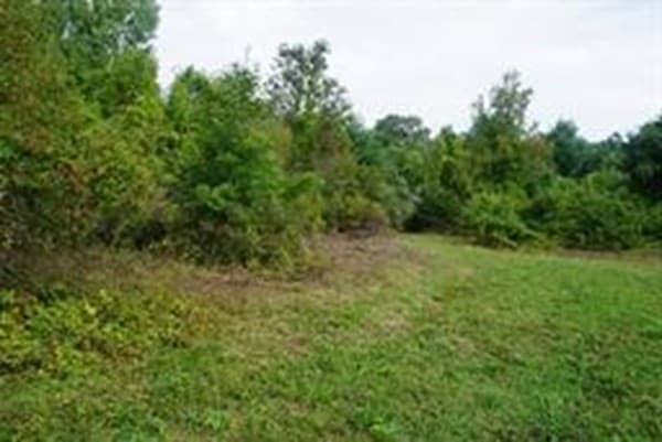 71 Kline Rd photo 2