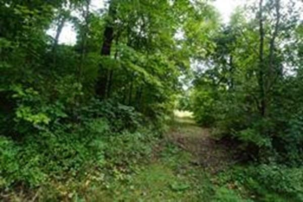 71 Kline Rd