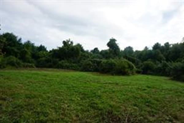 71 Kline Rd photo 5