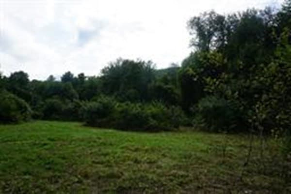 71 Kline Rd photo 4