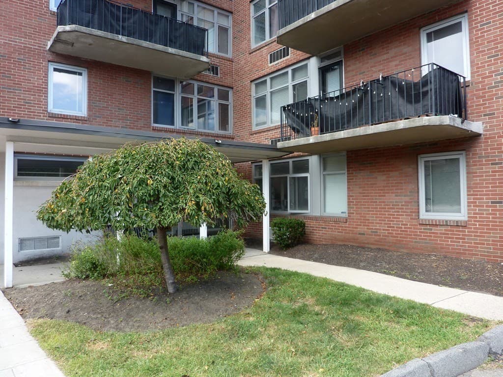 125 Trapelo Rd. #11 photo 2