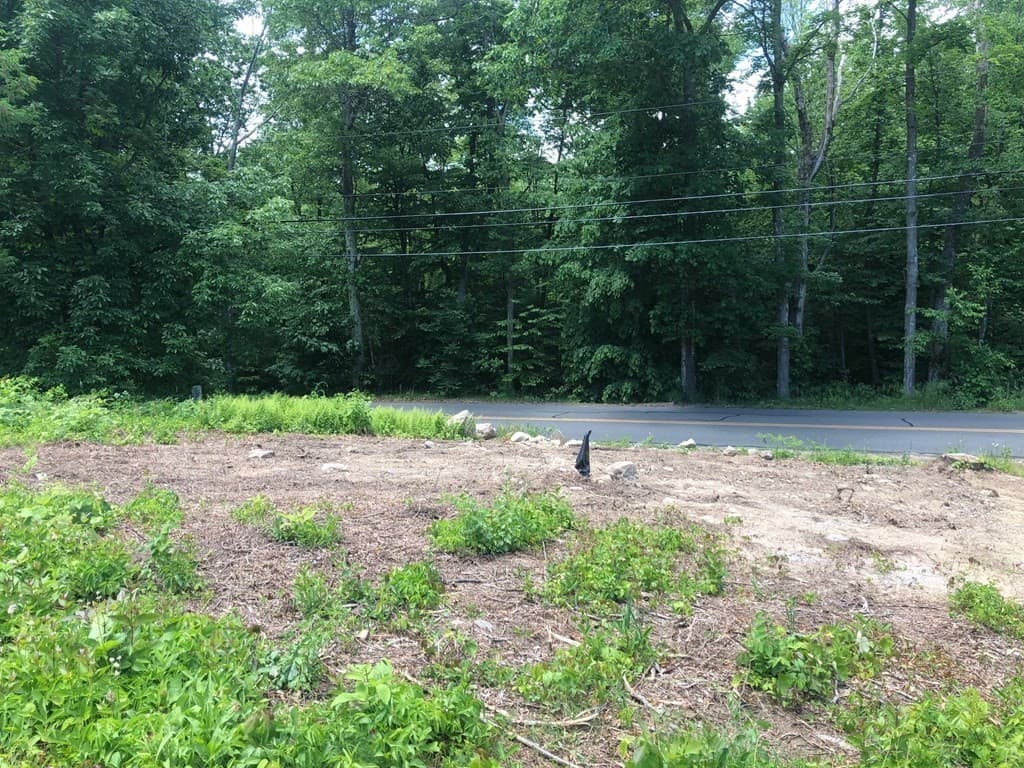 LOT A Carver St photo 5