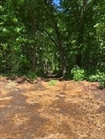 0 Auburn Road photo 3