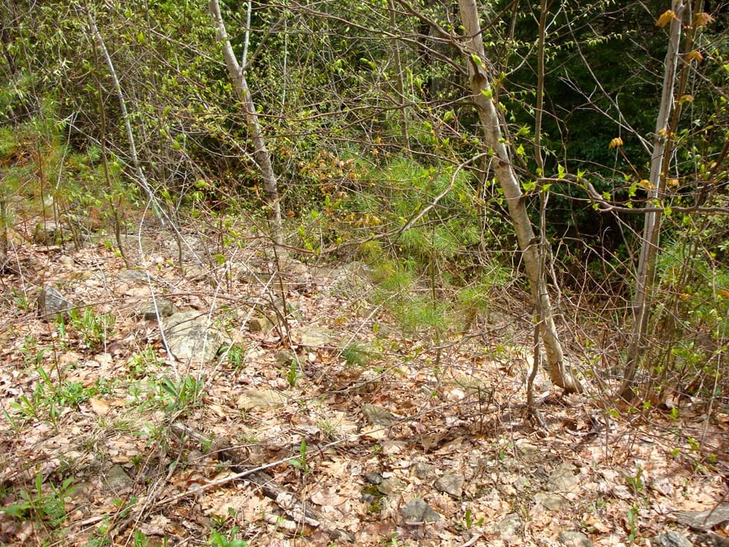 0 Hill Top Dr L: photo 2