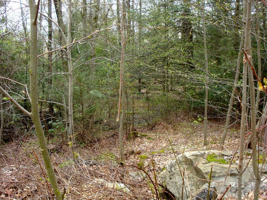 0 Hill Top Dr L: photo 3