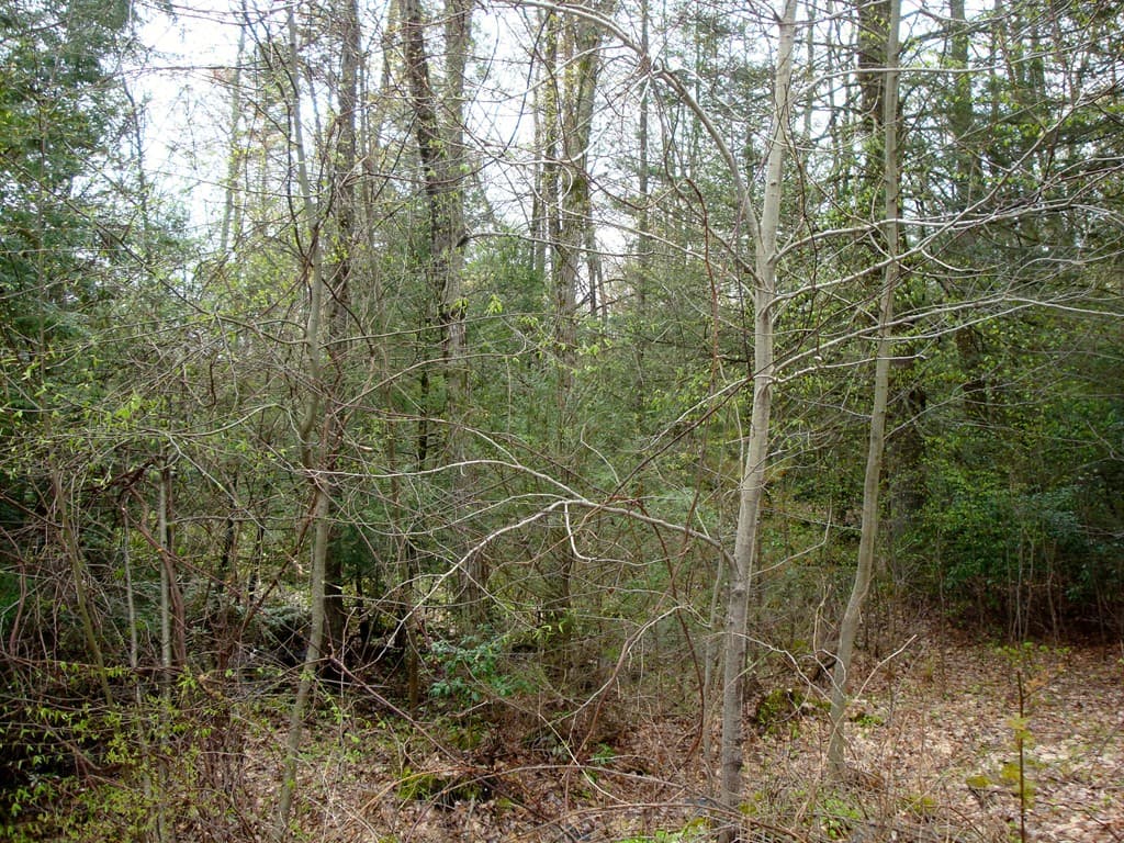 0 Hill Top Dr L: photo 4