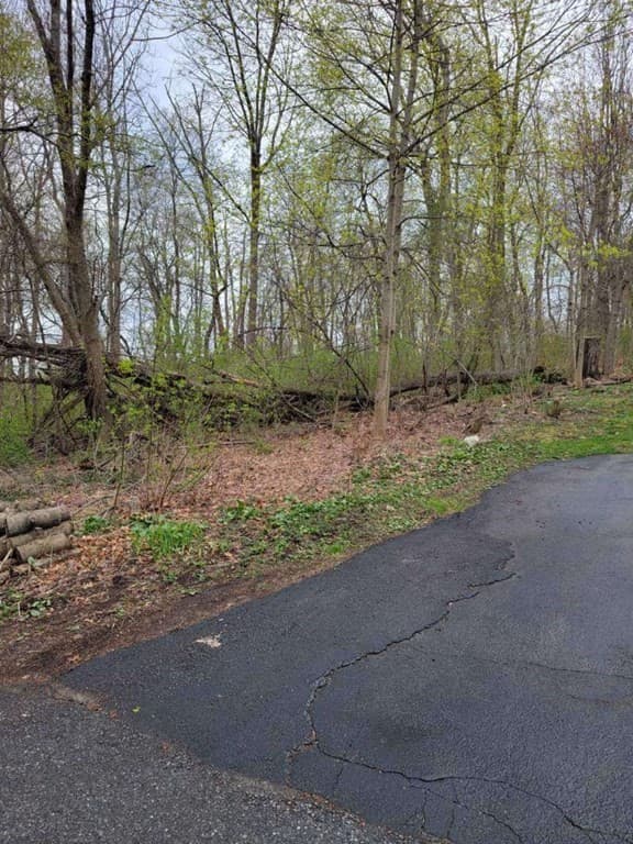 Lot 100 Valley View Ave photo 4