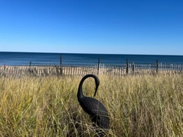 97 Atlantic Ave #A photo 4