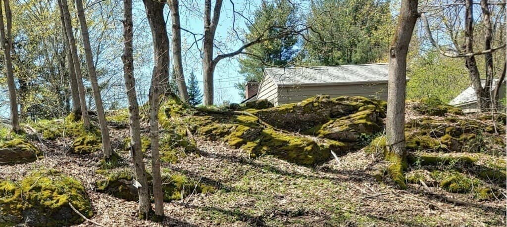 29 Cliff St photo 2