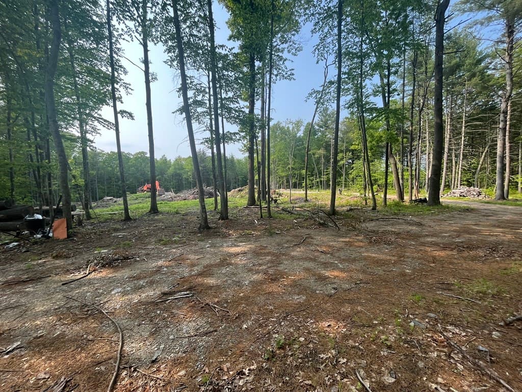 23 Lovett Rd photo 5