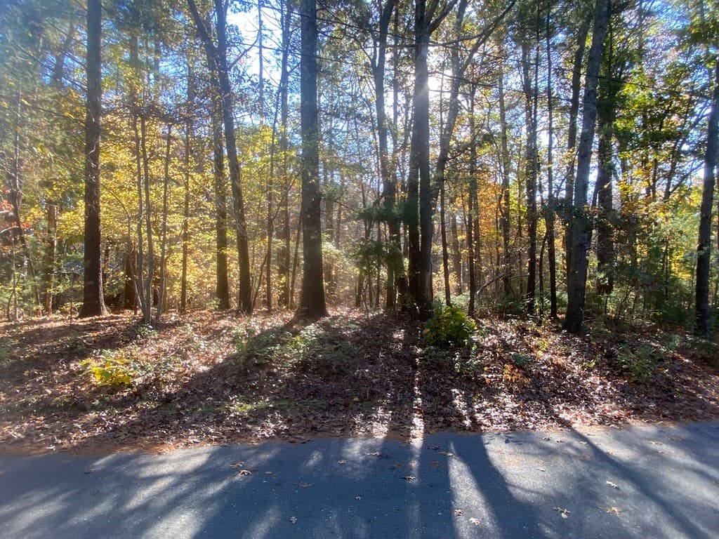 32 Little Brook Rd photo 2