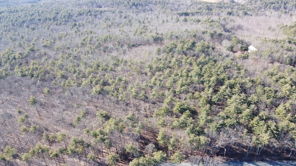 0 Alpine Rd photo 5