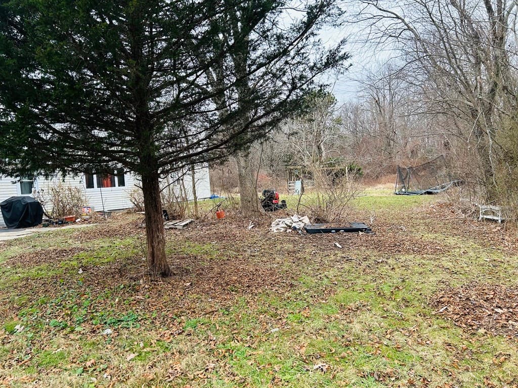 223 Alger St photo 5