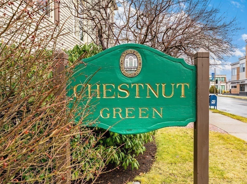105 Chestnut St #17 photo 3