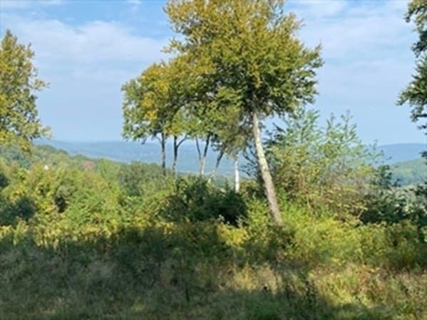 0 South Rd, Lot 5a photo 3