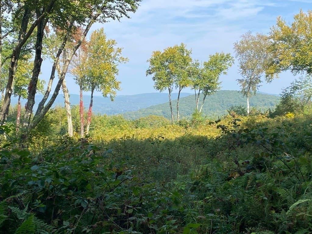 0 South Rd, Lot 5a