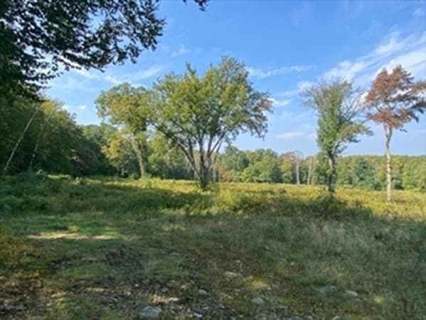 0 South Rd, Lot 5a photo 5