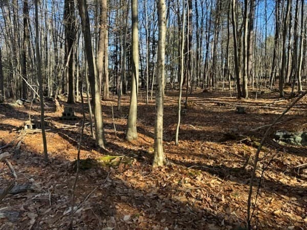 0 Dell Rd. photo 2