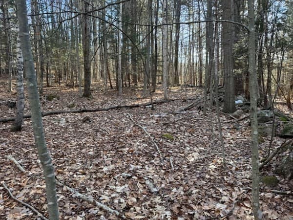 0 Dell Rd. photo 3