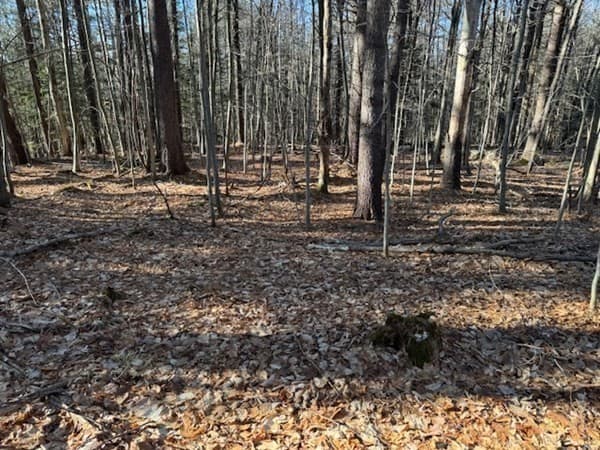 0 Dell Rd. photo 4
