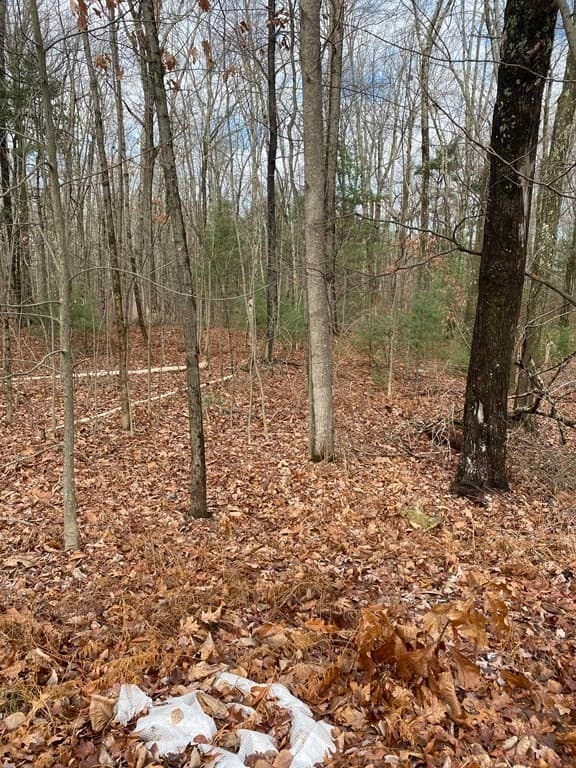 Lot 169-22 Beebe Rd photo 3