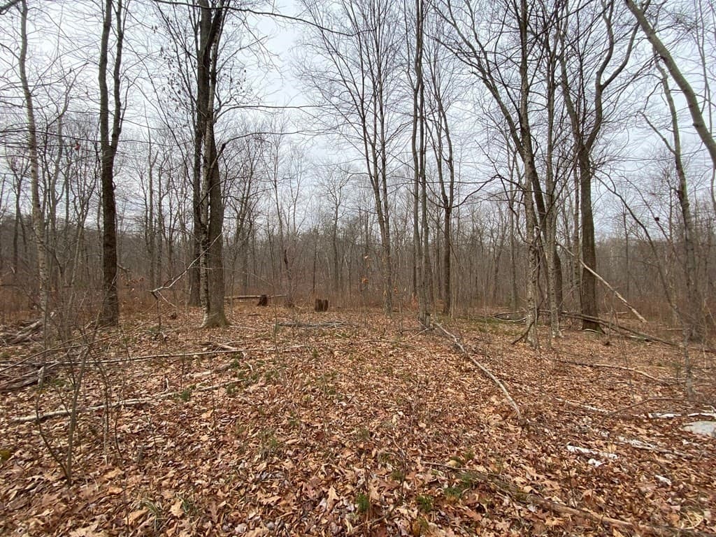 Lot 169-22 Beebe Rd