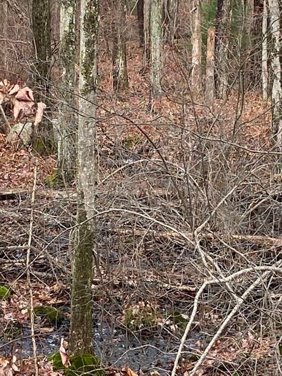 Lot 169-22 Beebe Rd photo 5