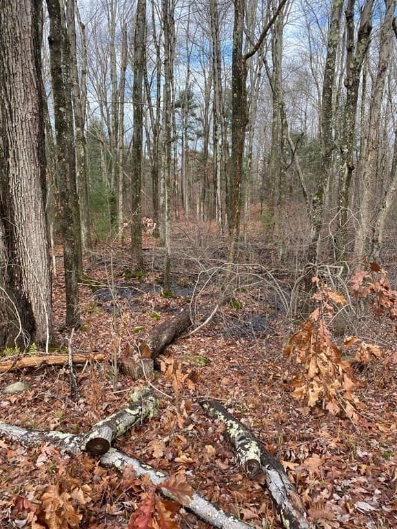 Lot 169-22 Beebe Rd photo 4