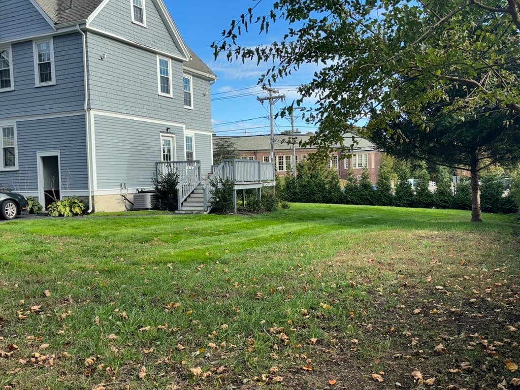 25 Ripley Road photo 5