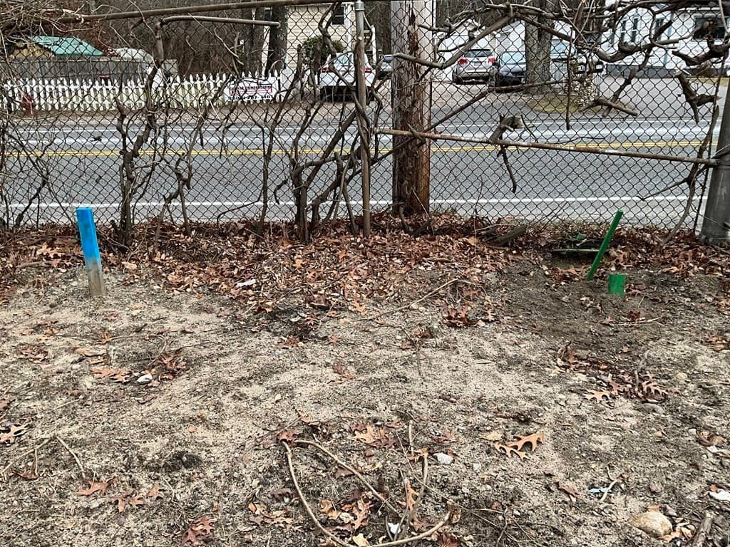 718 Reed Rd photo 5