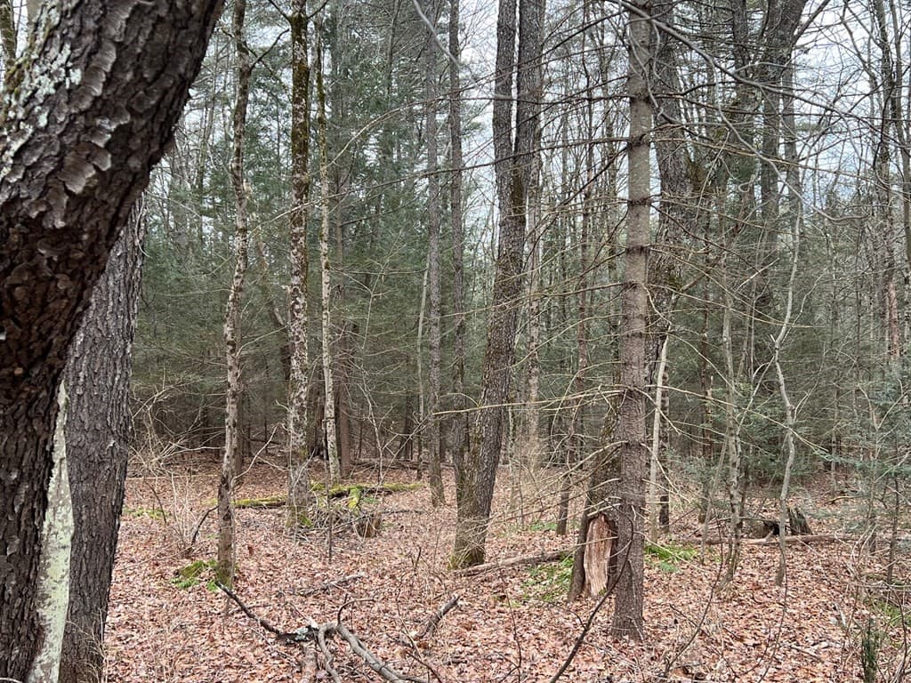 0 Dana Rd photo 2