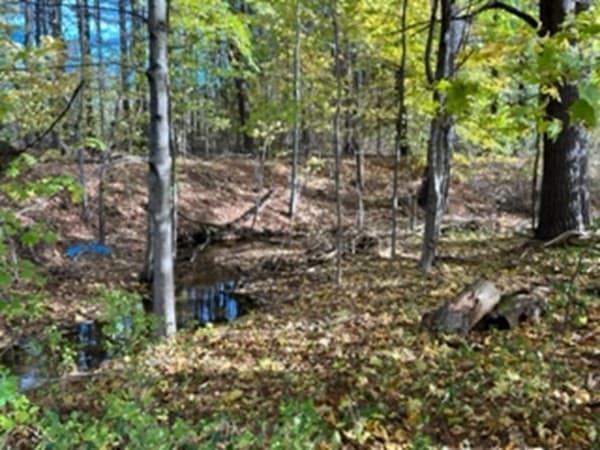 0000 Gage Road photo 3