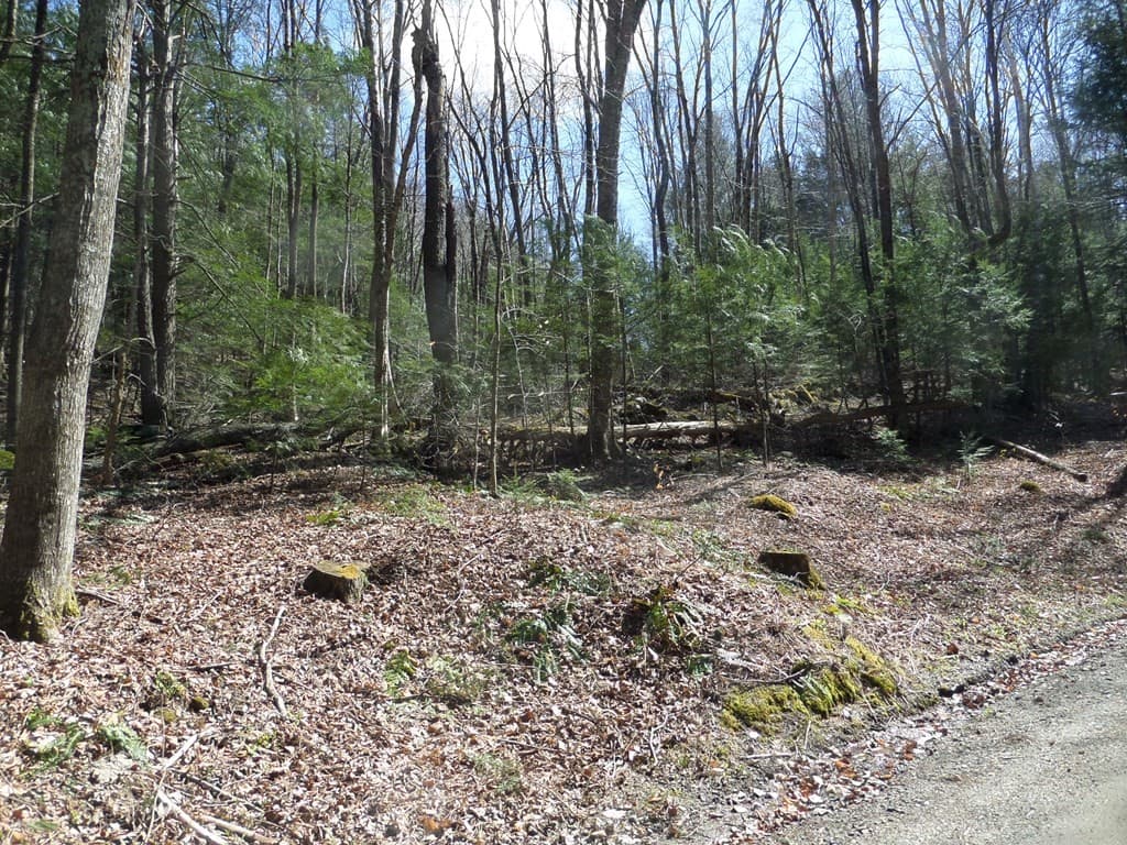 0 Thayer Hill Road photo 2