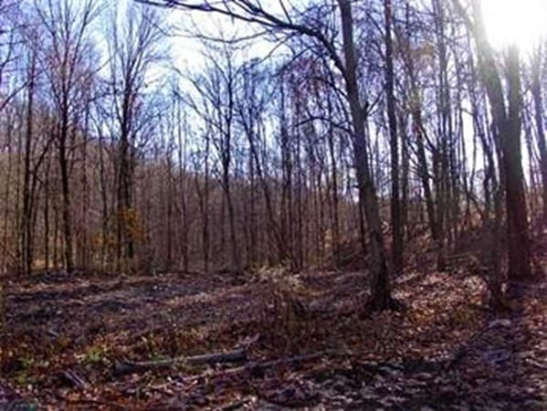 474 Mountain Road photo 3