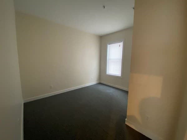 178 University Ave #1 photo 5
