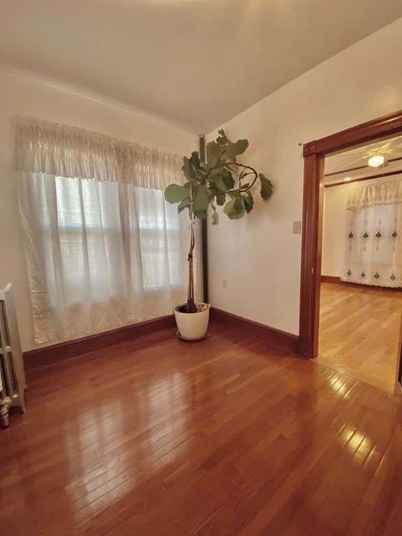 445 Meridian Street #2 photo 5