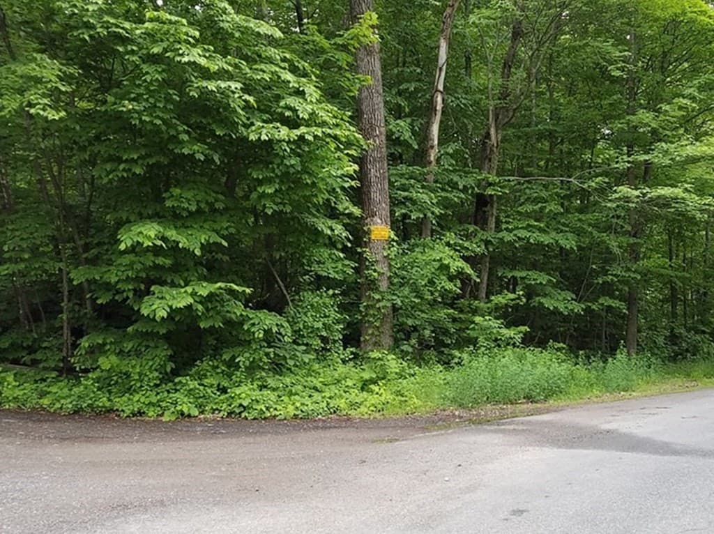 0 Mountain Rd photo 2