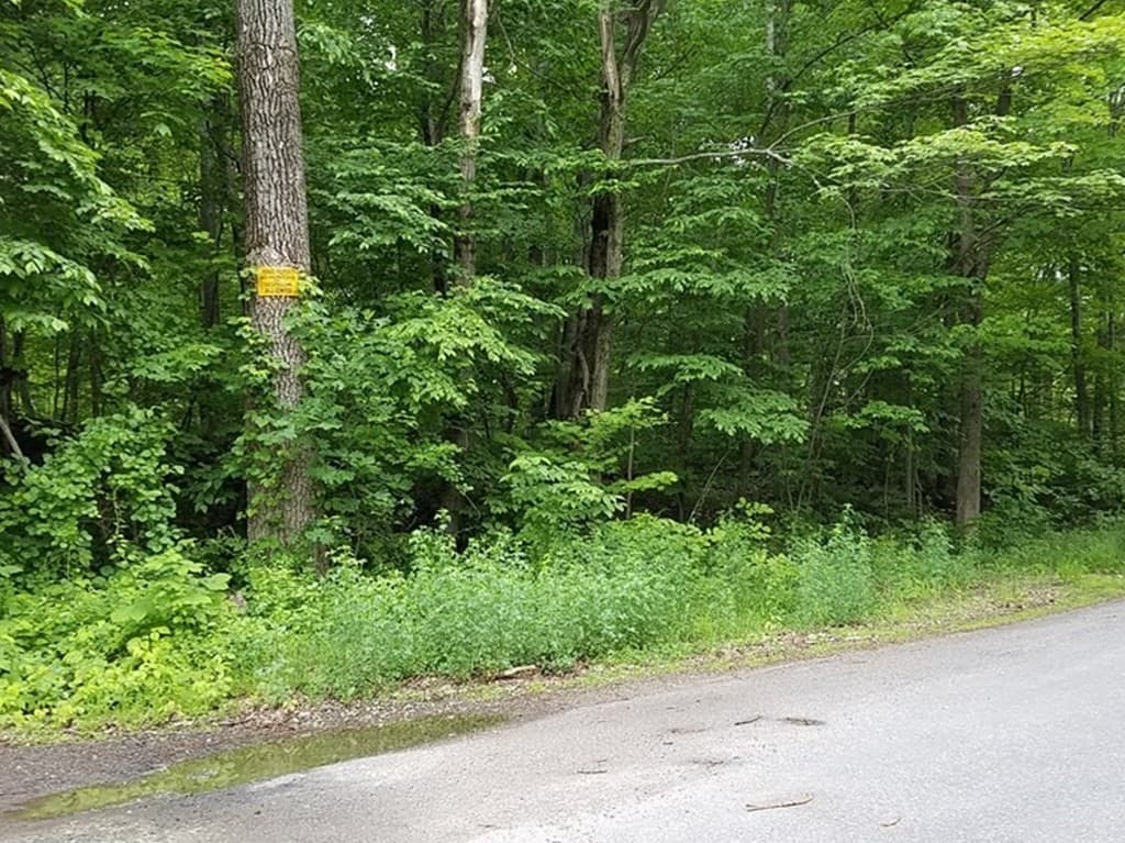 0 Mountain Rd