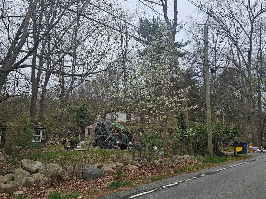 279 Pine Street photo 3