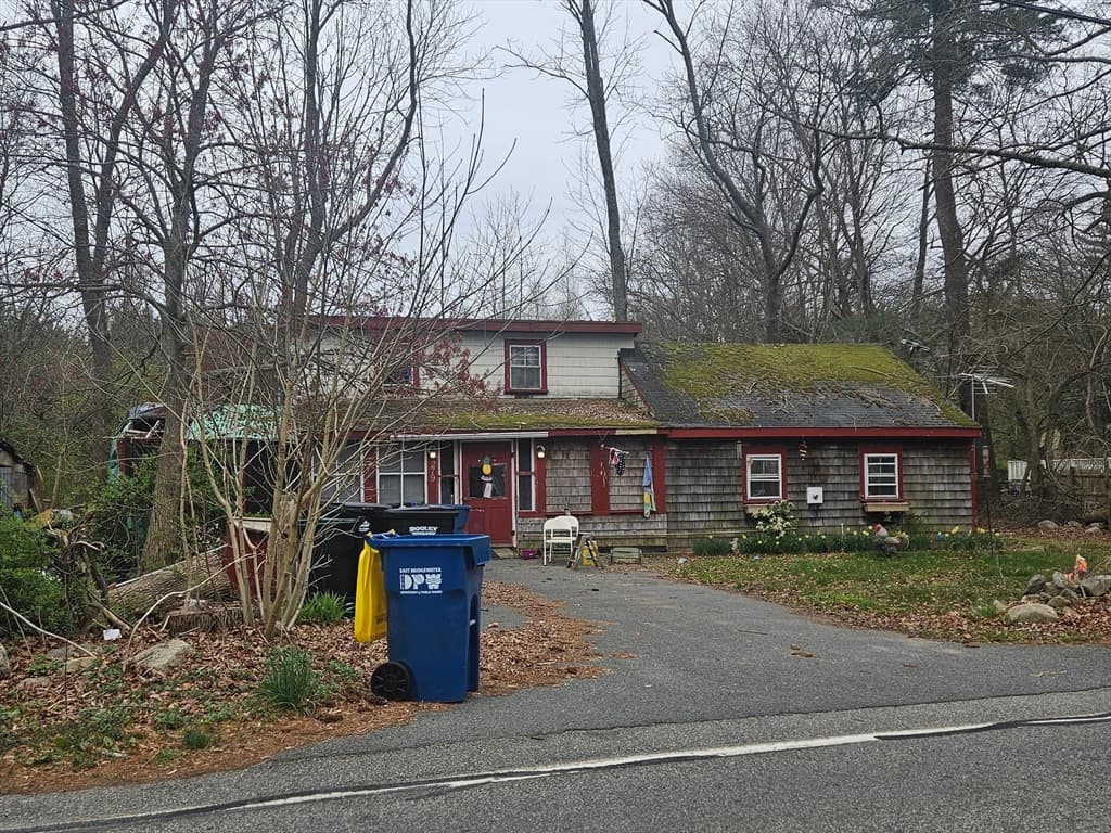 279 Pine Street photo 4