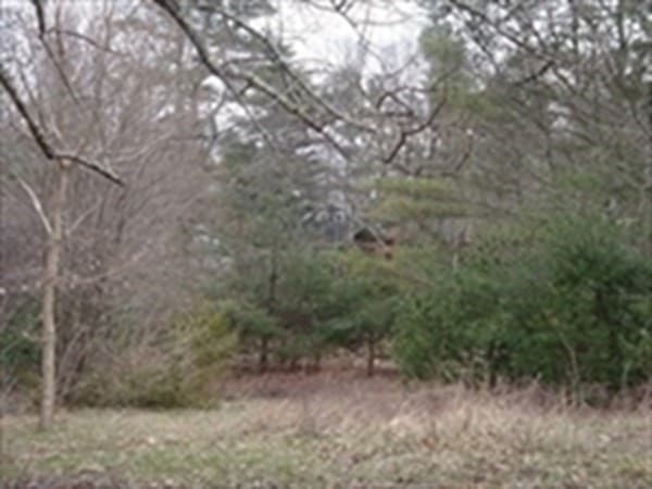 378 Wareham Street photo 4