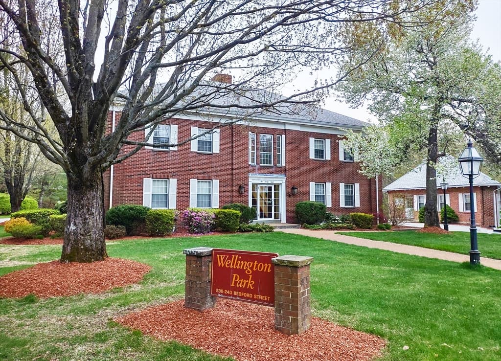 238 Bedford Street ##5