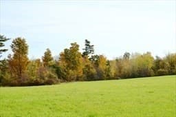 Lot 89 Paige Hill Road photo 3