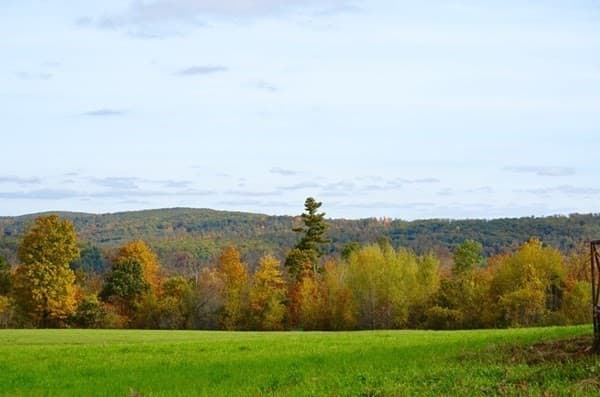 Lot 89 Paige Hill Road