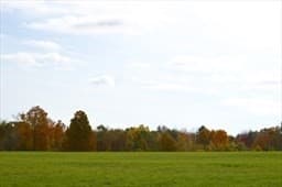 Lot 89 Paige Hill Road photo 4
